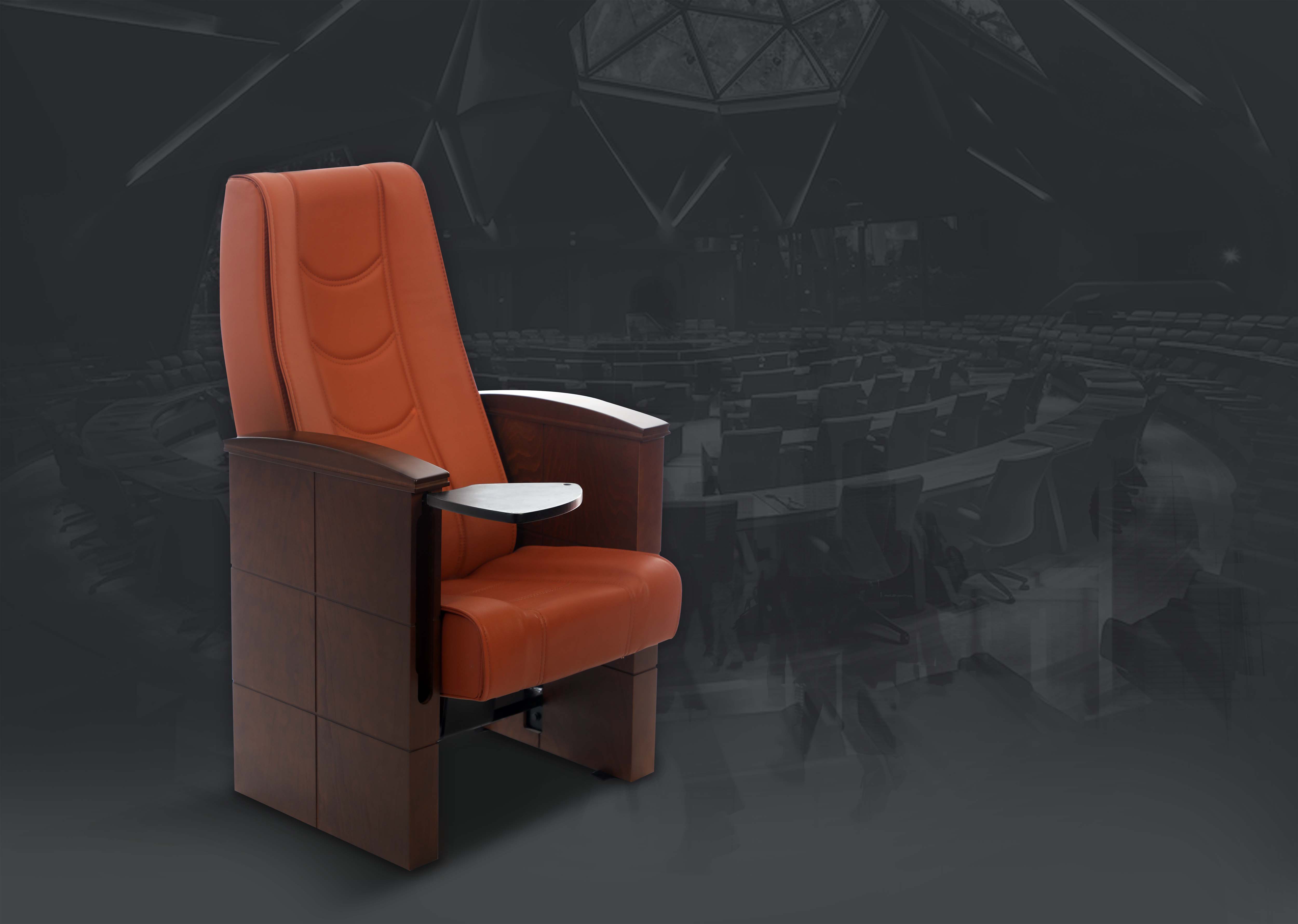 Auditorium Seats Image